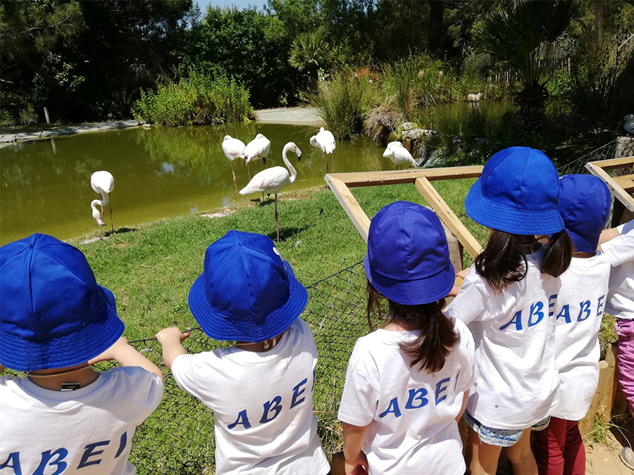 /fileuploads/Instalações e Equipamentos/Quinta dos Fidalgos/Actividades/_criancas_abei_badoca_park.jpg